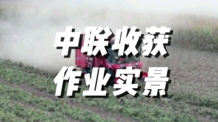 中聯收獲2022款4HJL-6型花生收獲機作業實景